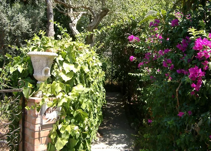 Villa Matisse - Damecuta Park