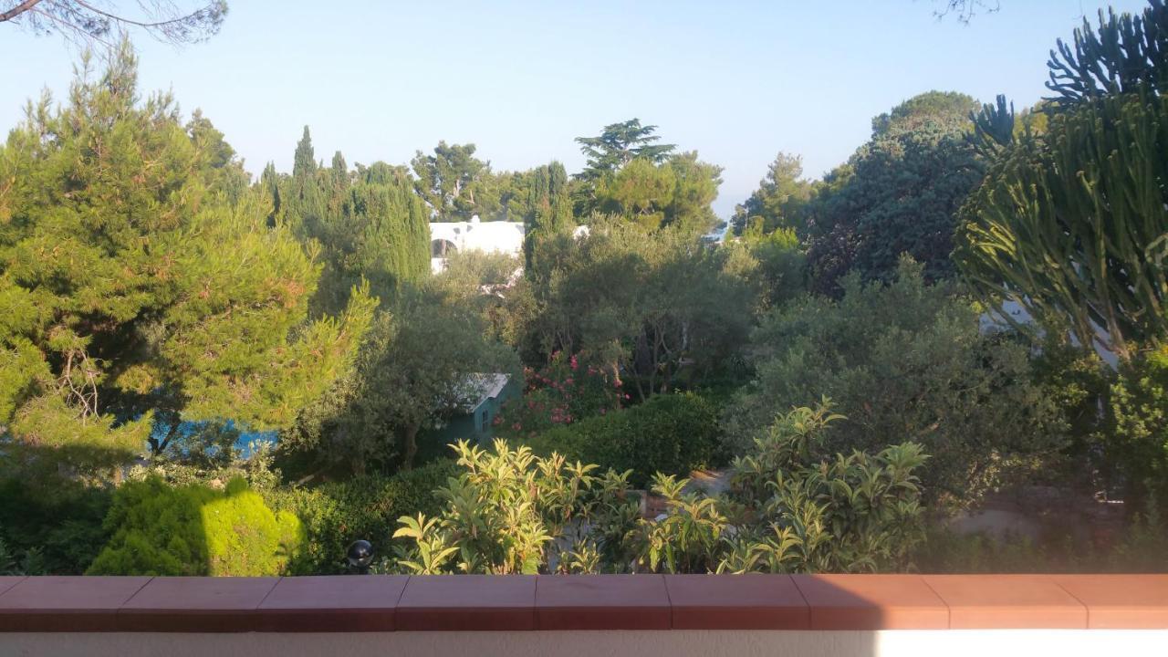 Matisse - Damecuta Park Apartment