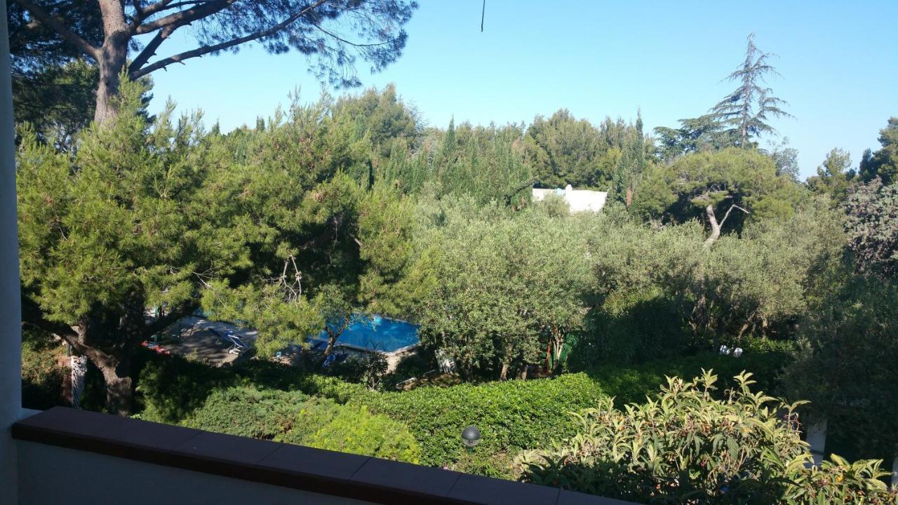 Apartment Matisse - Damecuta Park *
