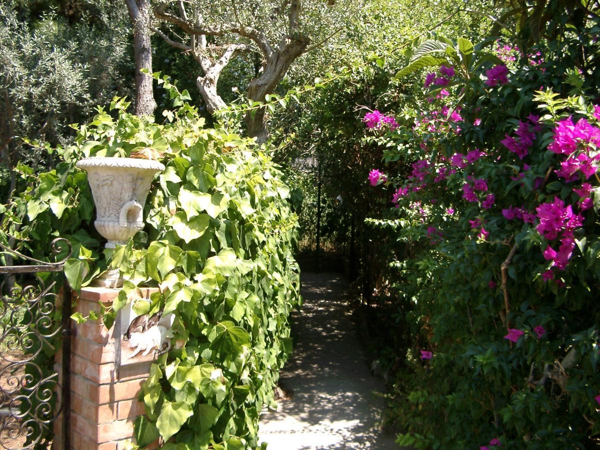 Apartment Matisse - Damecuta Park *