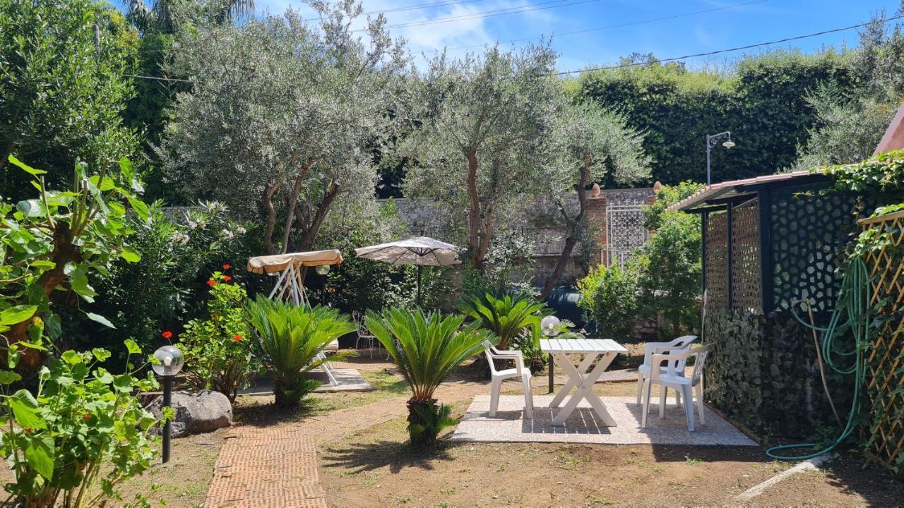 Apartment Matisse - Damecuta Park