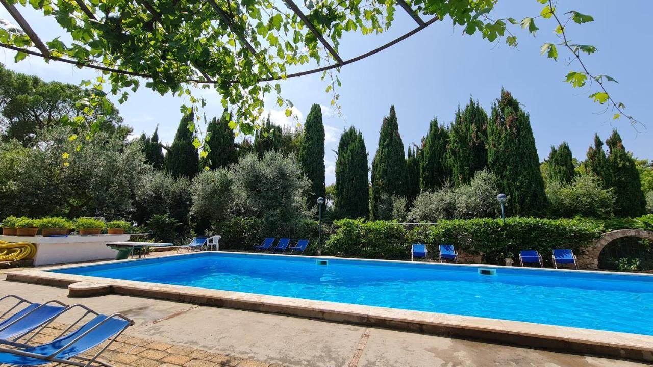 Apartment Matisse - Damecuta Park *
