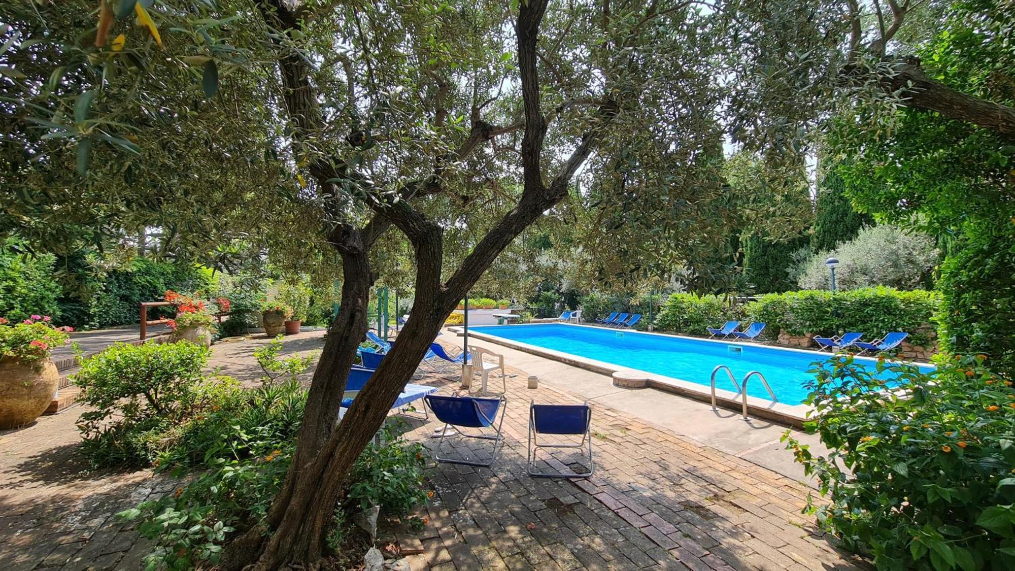 Apartment Matisse - Damecuta Park
