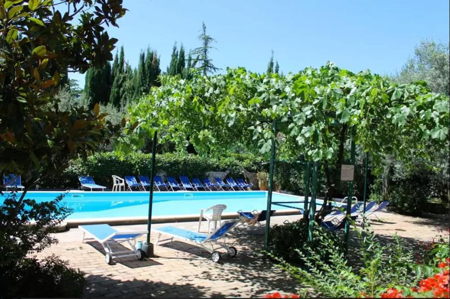 Matisse - Damecuta Park Anacapri (Isola di Capri)