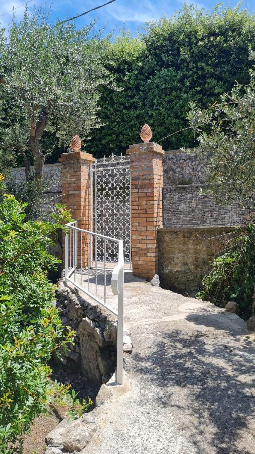 Appartement Matisse - Damecuta Park Anacapri (Isola di Capri)